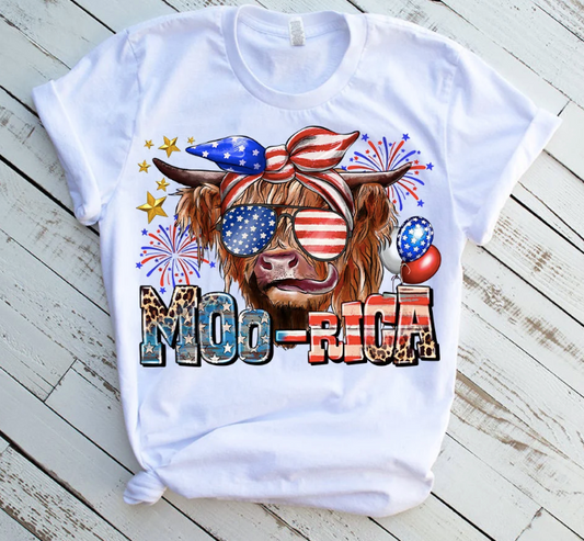 Moo-Rica Youth | 4th of July