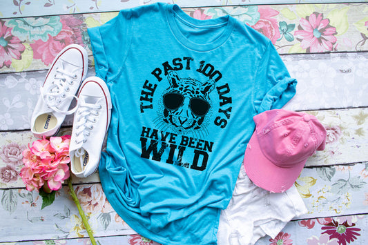 The Past 100 Days Have Been Wild | 100 Days of School | School