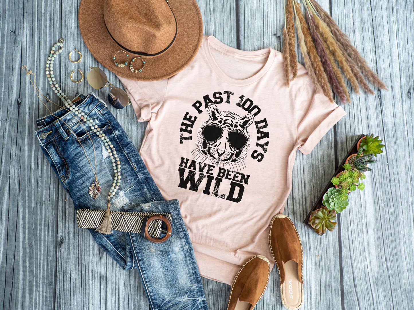 The Past 100 Days Have Been Wild | 100 Days of School | School