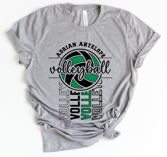 Adrian Antelope Volleyball x4 | Adrian | Sports