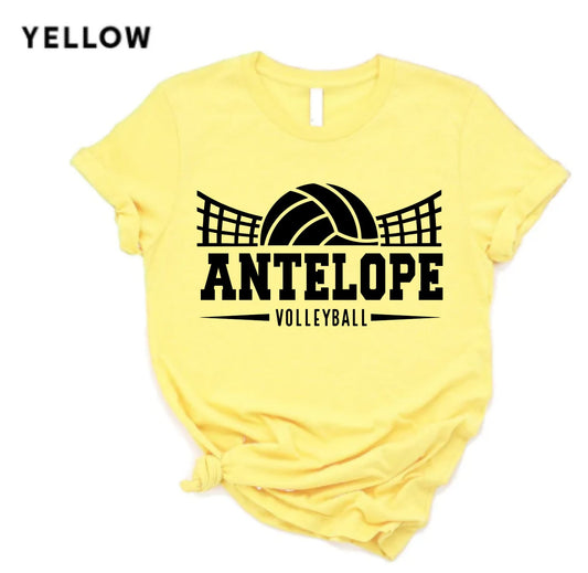 Adrian Volleyball #3 | Adrian | Sports