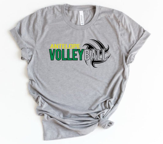 Antelope Volleyball | Adrian | Sports