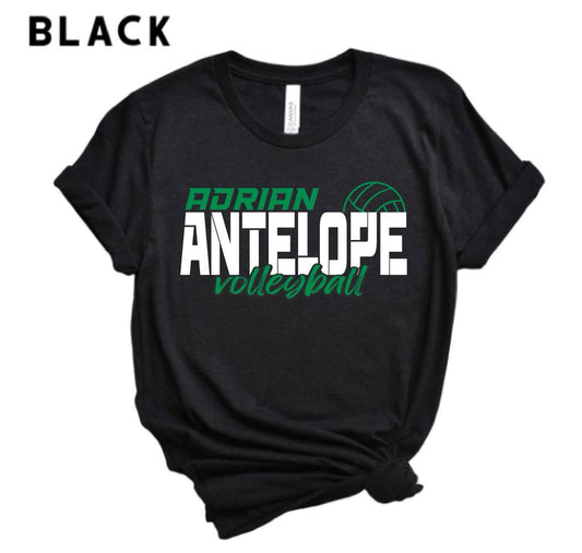 Adrian Antelope Volleyball | Adrian | Sports