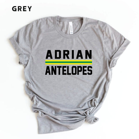Adrian Antelopes #3 | Adrian | Sports