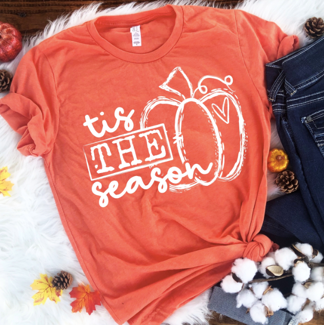 Tis the Season | Single Pumpkin