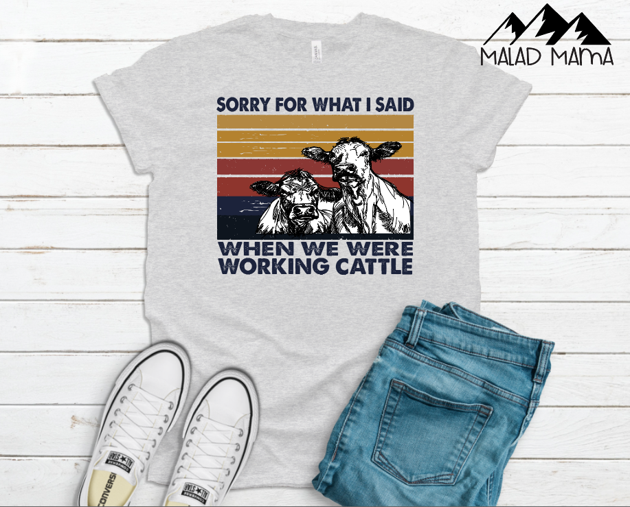 I'm sorry for what I said when we were working cattle | Cattle | Cows